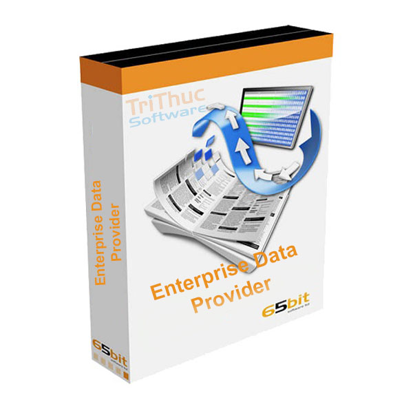 Enterprise Data Provider