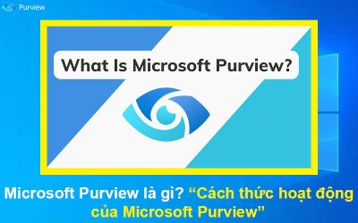 Microsoft Purview là gì? Cách thức hoạt động của Microsoft Purview