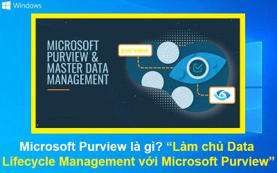 Microsoft Purview là gì? Làm chủ Data Lifecycle Management với Microsoft Purview