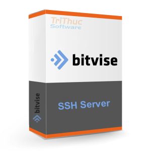 Bitvise SSH Server
