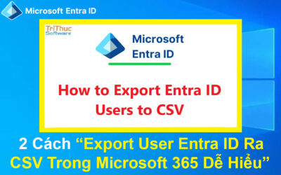 2 Cách Xuất User Entra ID Ra CSV Trong Microsoft 365 Dễ Hiểu