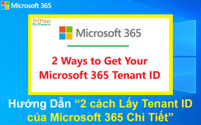 Hướng Dẫn 2 cách Lấy Tenant ID của Microsoft 365 Chi Tiết
