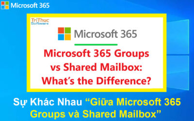 Sự Khác Nhau Giữa Microsoft 365 Groups và Shared Mailbox