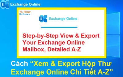 Cách Xem & Export Hộp Thư Exchange Online Chi Tiết A–Z