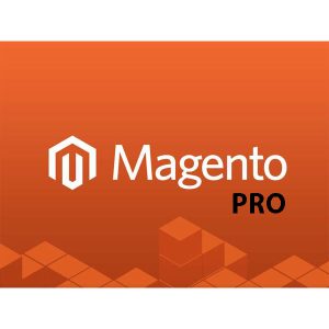Magento-Commerce-(Pro)