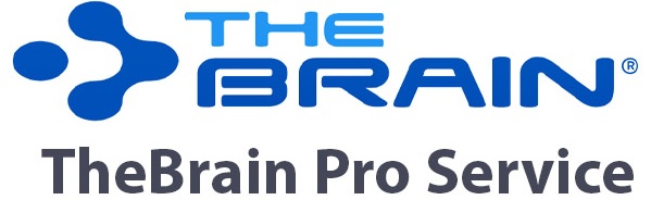 TheBrain-Pro-Service-1