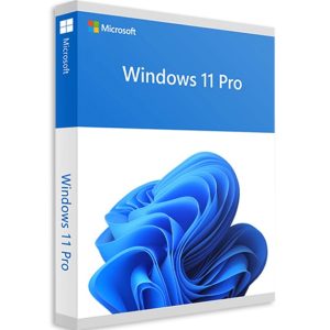 windows-11-pro-32-64bit