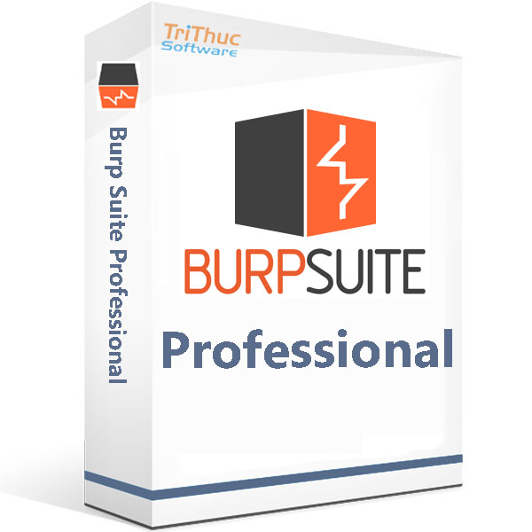 Burp-Suite-Professional