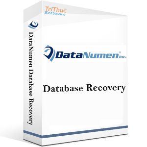 DataNumen-Database-Recovery