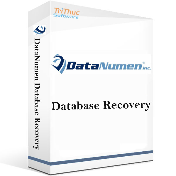 DataNumen-Database-Recovery