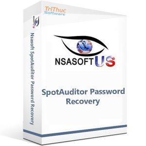 Nsasoft-SpotAuditor-Password-Recovery