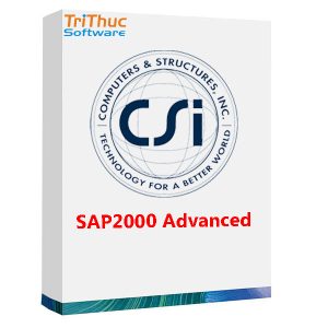 SAP2000-Advanced