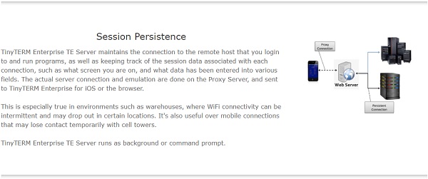 TinyTERM-Enterprise-2