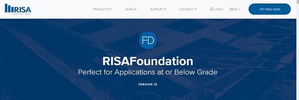 risa-foundation-1