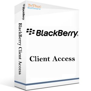 BlackBerry-Client-Access