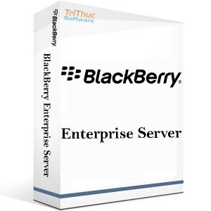 BlackBerry-Enterprise-Server