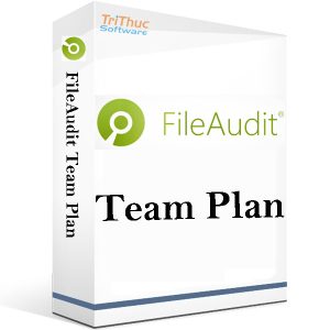 FileAudit-Team-Plan