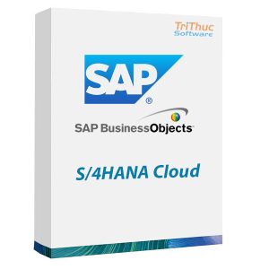 SAP-S-4HANA-cloud
