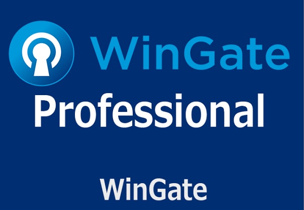 WinGate-professional-1