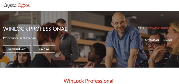 WinLock-professional-1