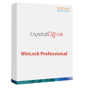 WinLock-professional
