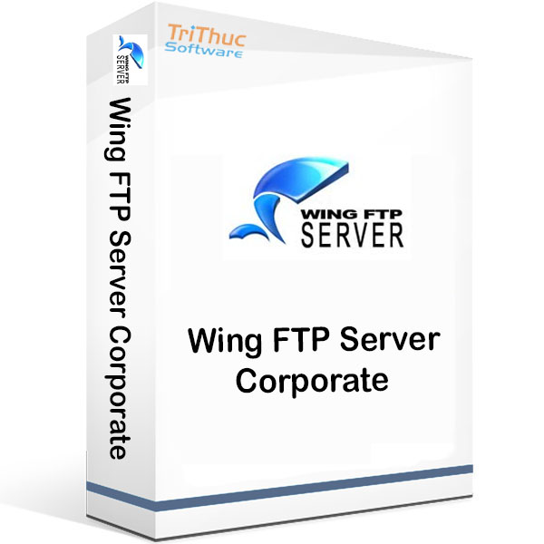instaling Wing FTP Server Corporate 7.2.8