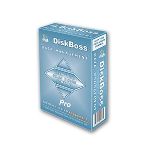 DiskBoss-professional