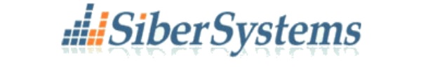 Siber-Systems-logo
