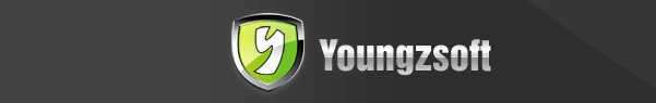 youngzsoft-1