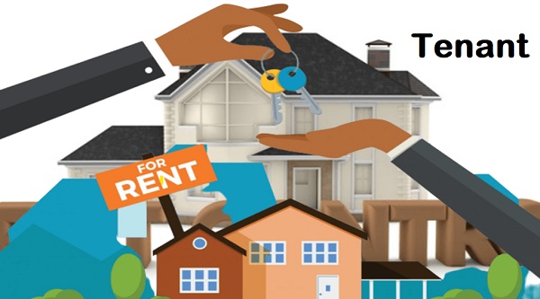 Tenant là gì Tenant là gì