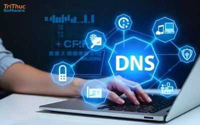 DNS Google là gì? Cách cấu hình DNS Google cho máy tính