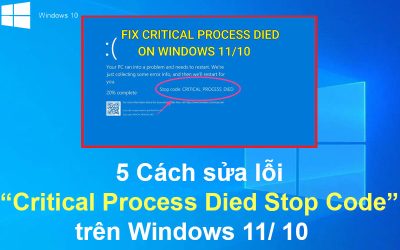 5 Cách sửa lỗi Critical Process Died Stop Code trên Windows 11/10