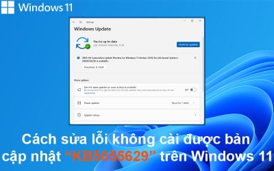 Cách sửa lỗi không cài được bản cập nhật KB5055629 trên Windows 11