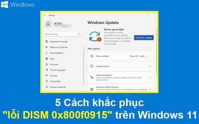 5 Cách khắc phục “lỗi DISM 0x800f0915” trên Windows 11