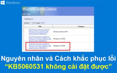 Nguyên nhân và Cách khắc phục lỗi KB5060531 không cài đặt được