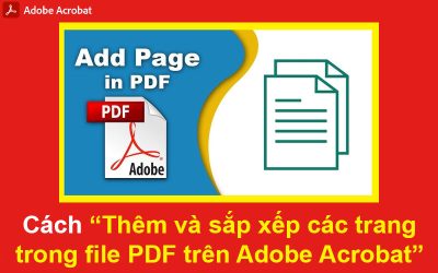 Cách “Thêm và sắp xếp các trang trong file PDF trên Adobe Acrobat”