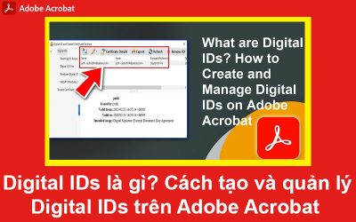 Digital IDs là gì? Cách tạo và quản lý Digital IDs trên Adobe Acrobat