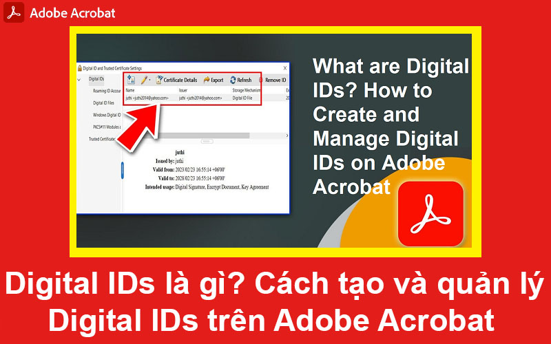 Digital IDs là gì? Cách tạo và quản lý Digital IDs trên Adobe Acrobat ...