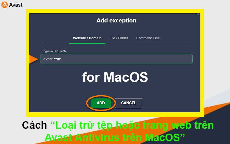 Cách Loại trừ tệp hoặc trang web trên Avast Antivirus – MacOS
