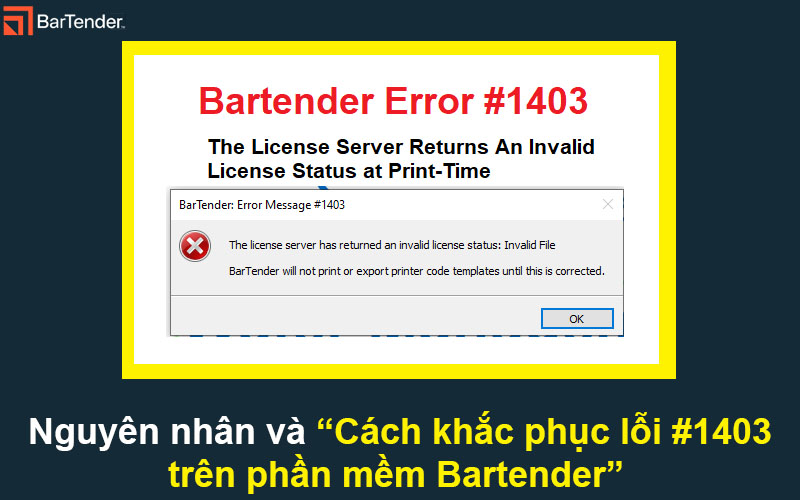 Nguyên nhân và Cách khắc phục lỗi #1403 trên phần mềm Bartender