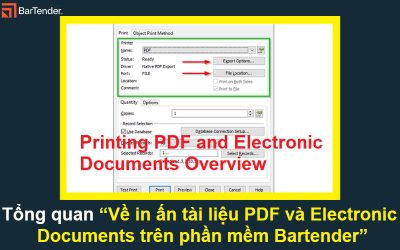 Tổng quan về in ấn tài liệu PDF và Electronic Documents trên phần mềm Bartender