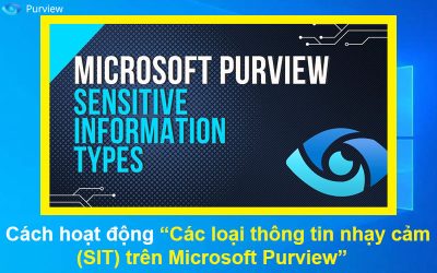 Cách hoạt động Các loại thông tin nhạy cảm (SIT) trên Microsoft Purview