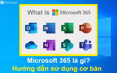 Microsoft 365 là gì? Hướng dẫn sử dụng cơ bản
