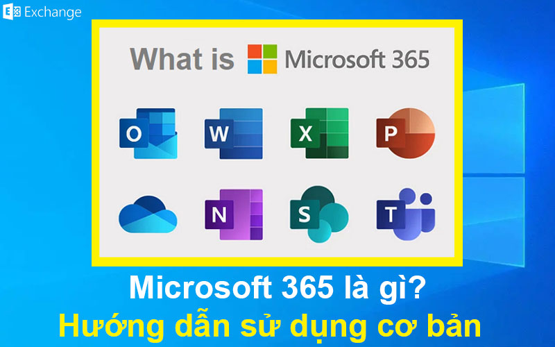 Microsoft 365 là gì? Hướng dẫn sử dụng cơ bản