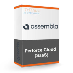 Assembla Perforce Cloud (SaaS)