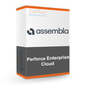 Assembla Perforce Enterprise Cloud